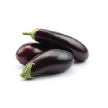 Organic  Brinjal